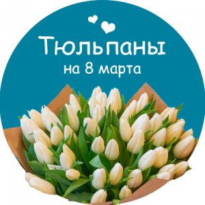 Купить тюльпаны в Шимановске